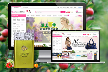 �ֶ��������̳�